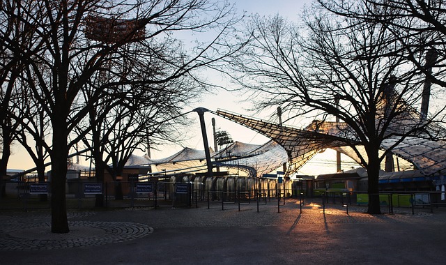 能在新环境 能在新环境