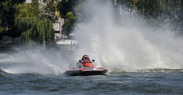 为大家揭示 为大家揭示
