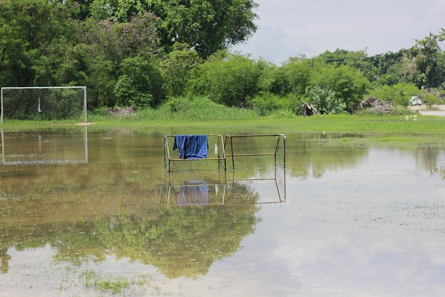 仅需要保持 仅需要保持