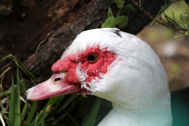 也体现了对 也体现了对